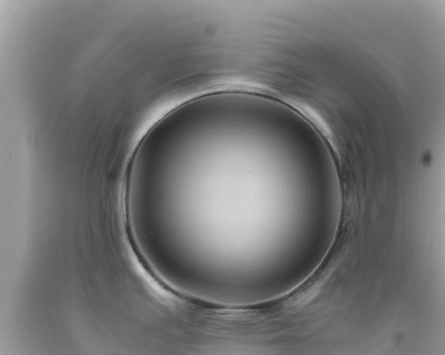 X0000092021391200709131546