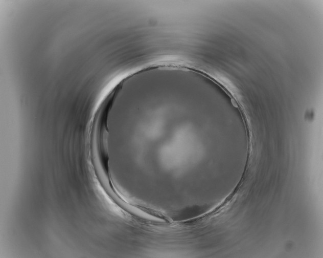 X0000092021392200709131546