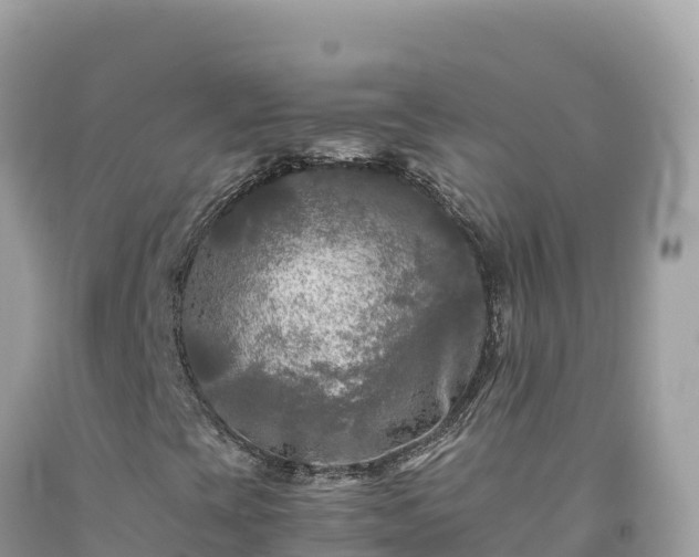 X0000092021393200709131546