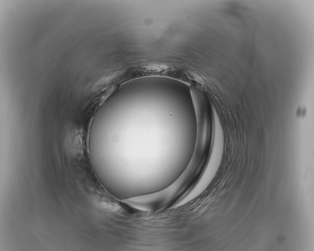 X0000092021394200709131546