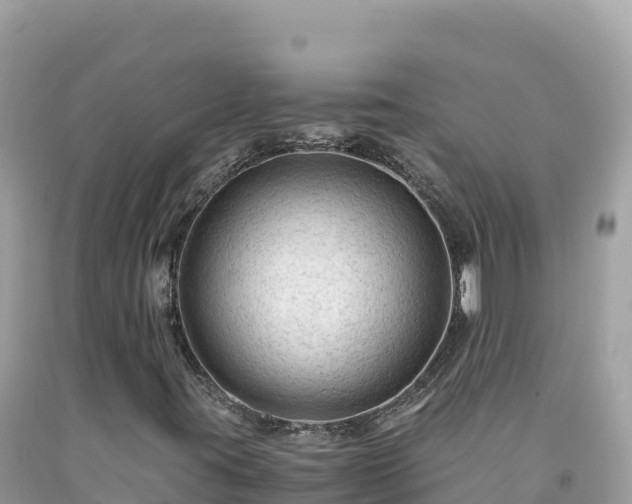 X0000092021395200709131546