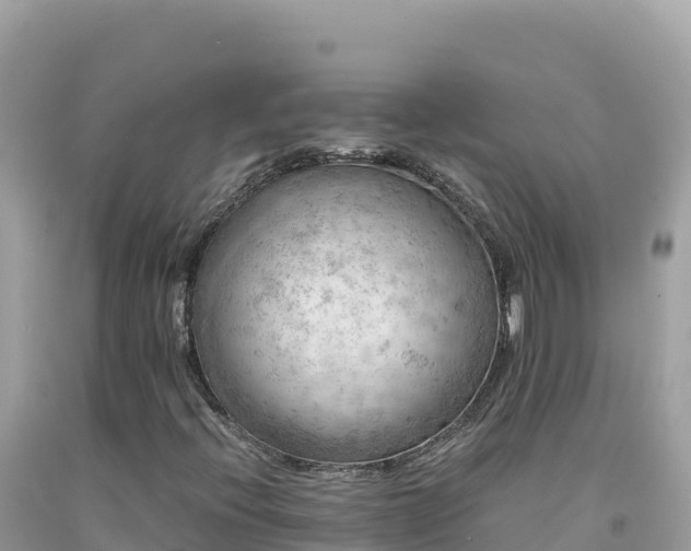X0000092021396200709131546