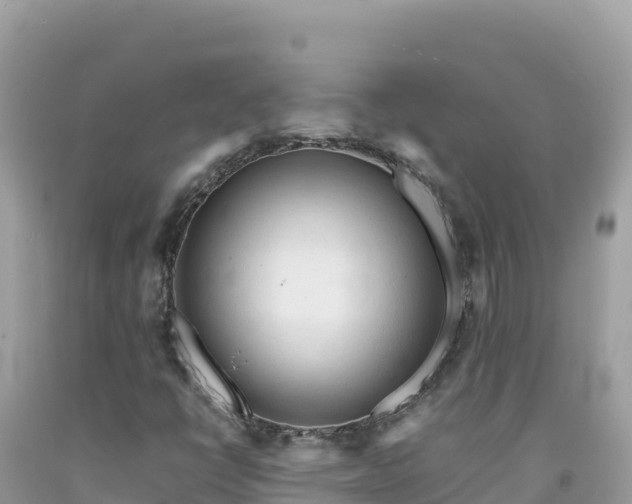 X0000092021398200709131546