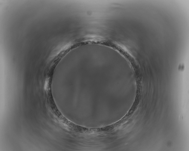 X0000092021399200709131546