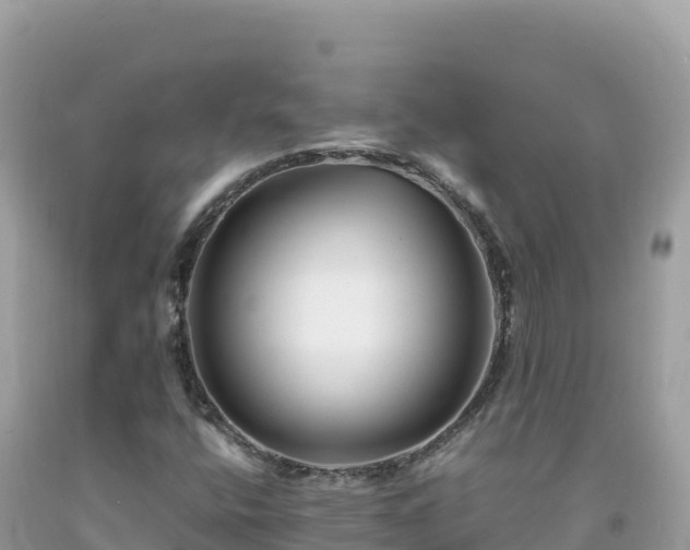 X0000092021400200709131546