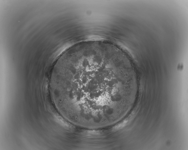 X0000092021401200709131546