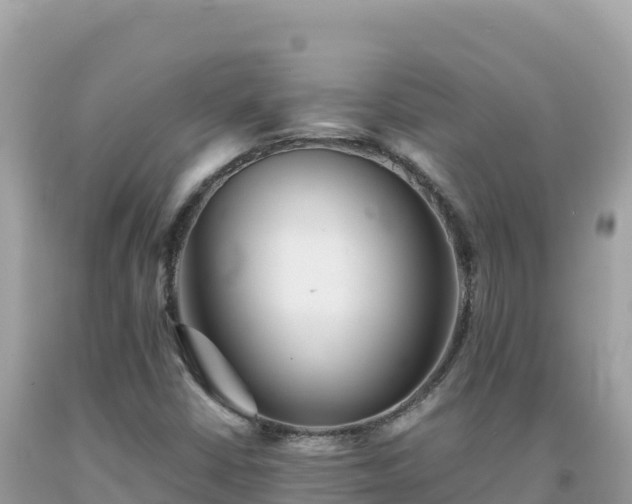 X0000092021402200709131546