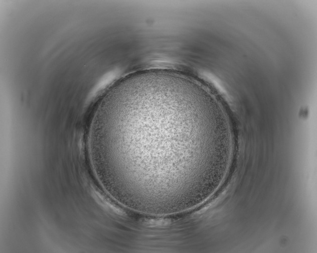 X0000092021403200709131546