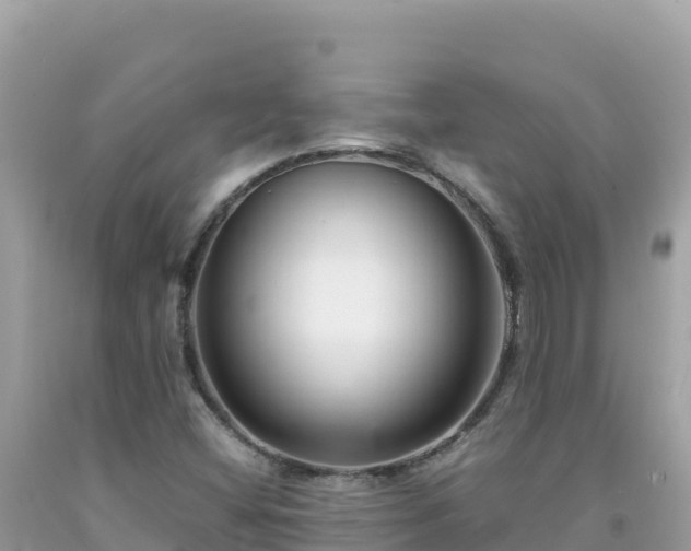 X0000092021404200709131546
