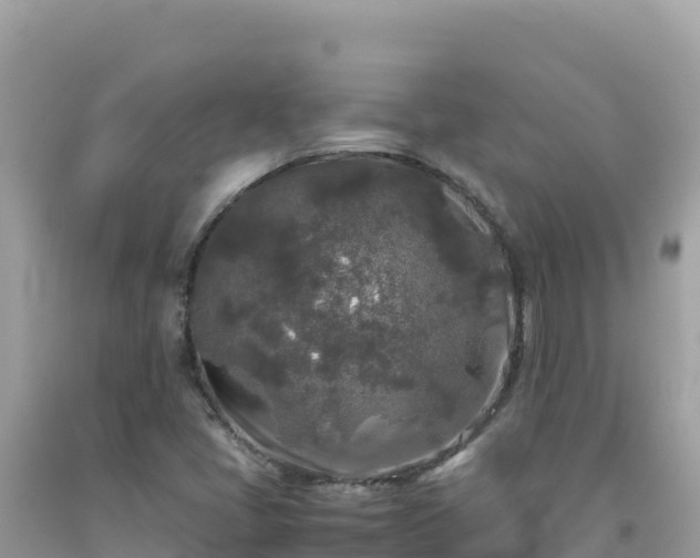 X0000092021405200709131546