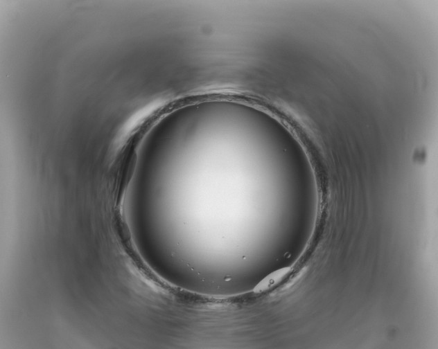 X0000092021406200709131546