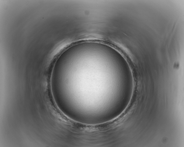 X0000092021407200709131546