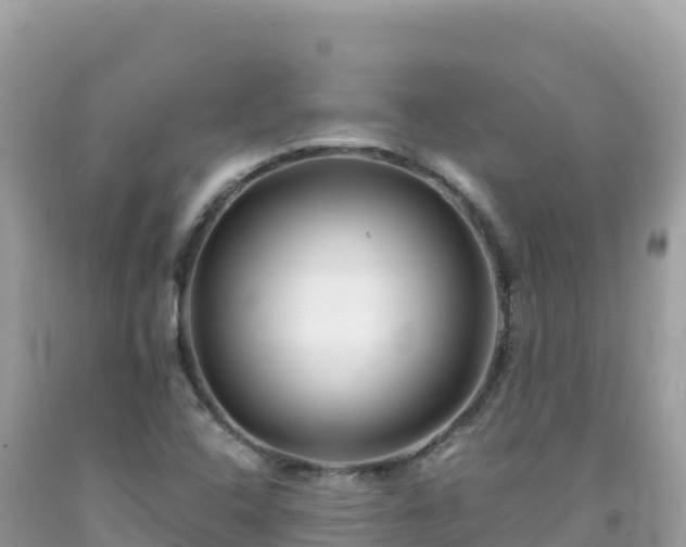 X0000092021408200709131546