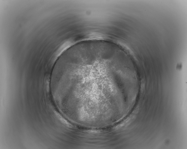 X0000092021409200709131546