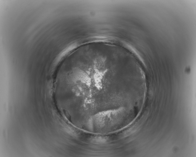 X0000092021411200709131546