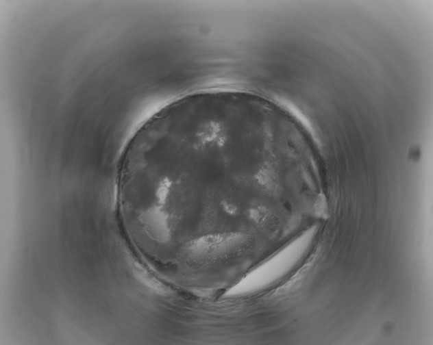 X0000092021413200709131546