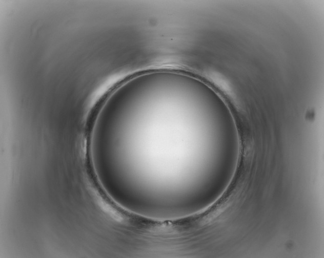 X0000092021414200709131546
