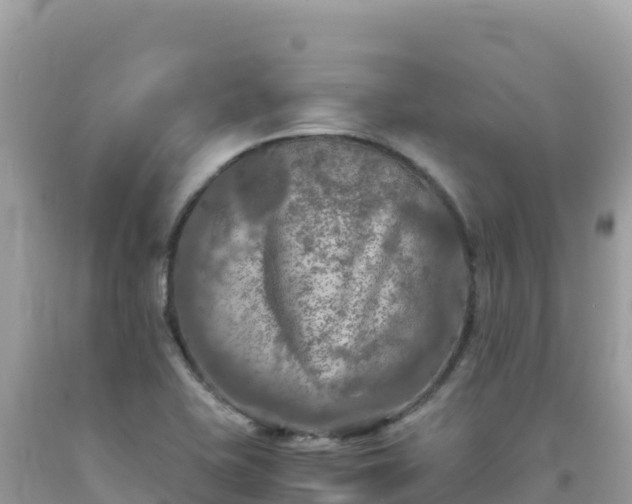 X0000092021415200709131546