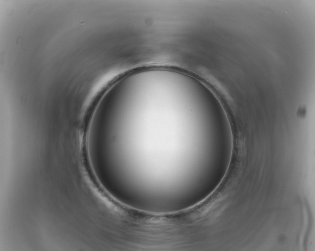 X0000092021416200709131546
