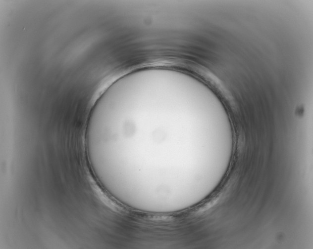 X0000092021417200709131546