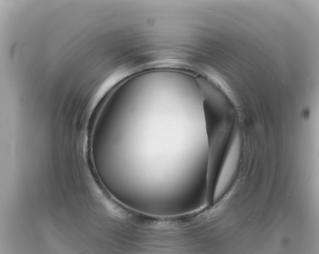 X0000092021418200709131546