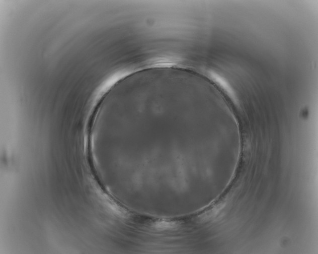 X0000092021419200709131546