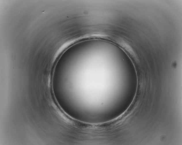 X0000092021420200709131546