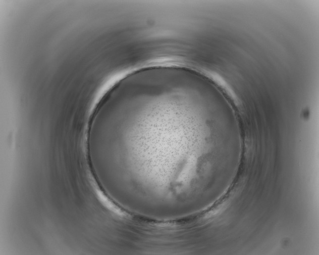 X0000092021421200709131546