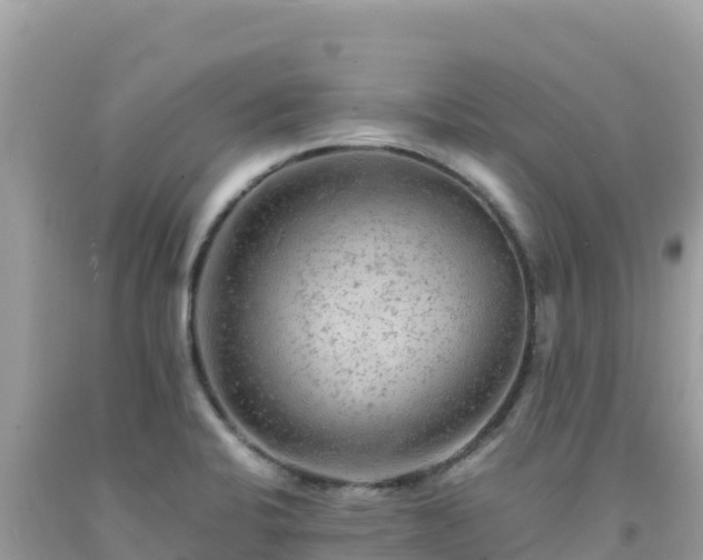 X0000092021424200709131546