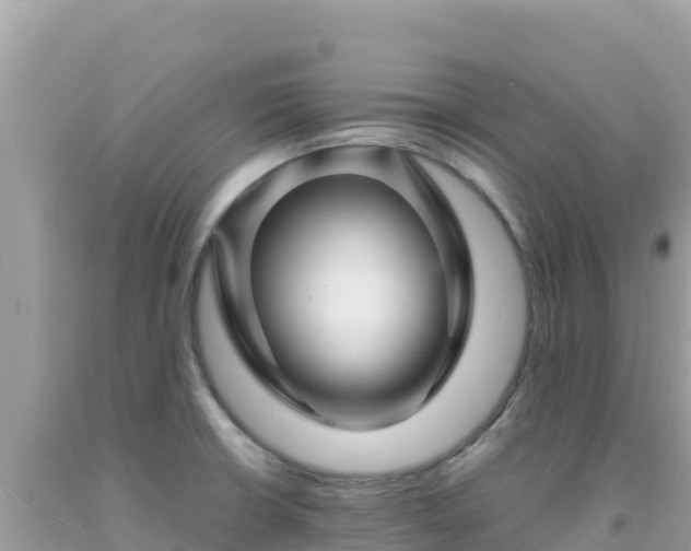 X0000092021426200709131546