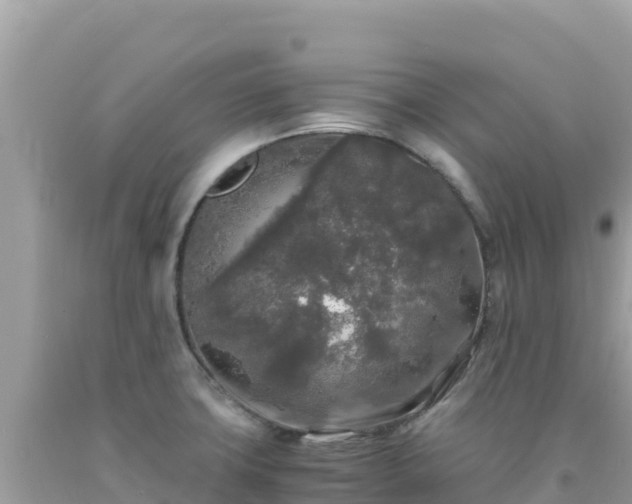 X0000092021427200709131546