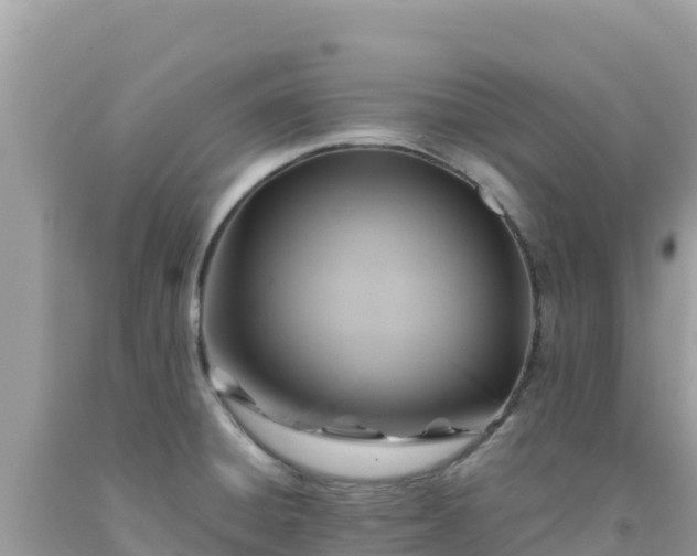 X0000092021428200709131546