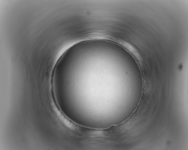 X0000092021431200709131546