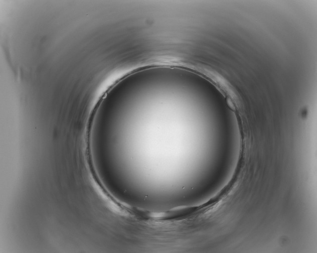 X0000092021432200709131546