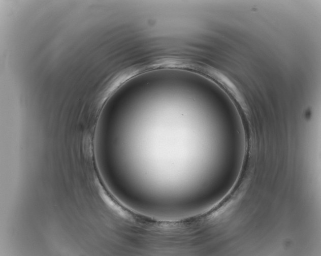 X0000092021433200709131546