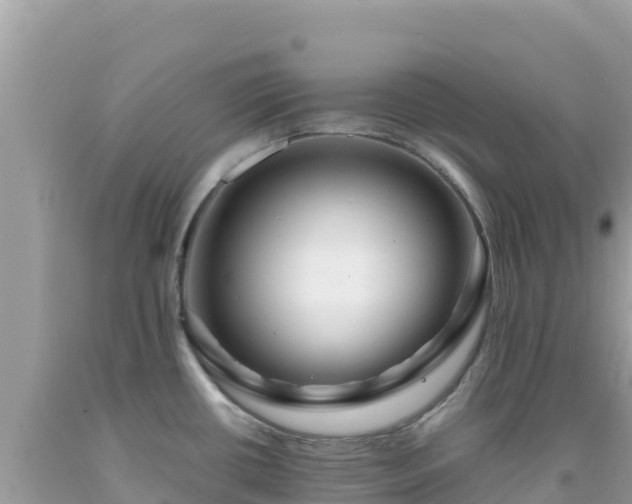 X0000092021434200709131546