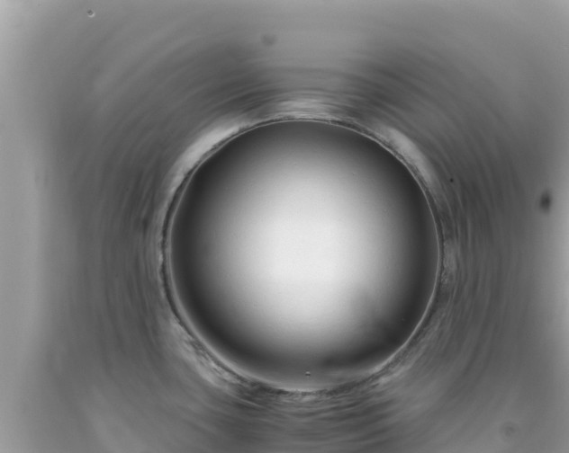 X0000092021435200709131546
