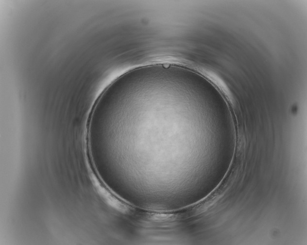 X0000092021439200709131546