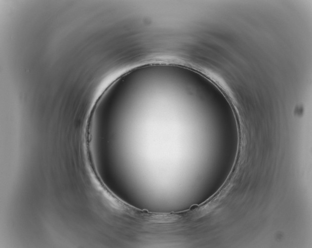 X0000092021440200709131546