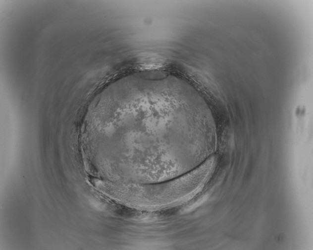X0000092021441200709131546