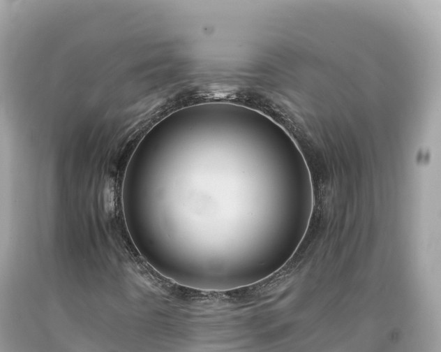 X0000092021442200709131546