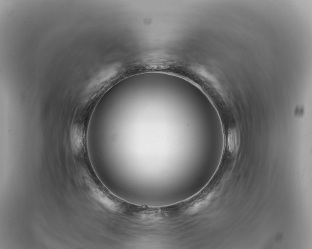 X0000092021444200709131546