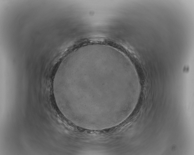 X0000092021445200709131546