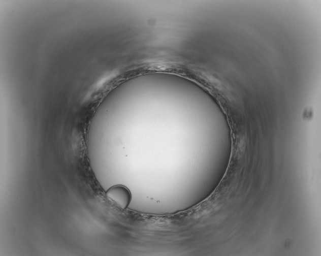 X0000092021446200709131546