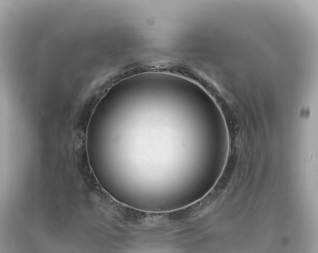 X0000092021447200709131546