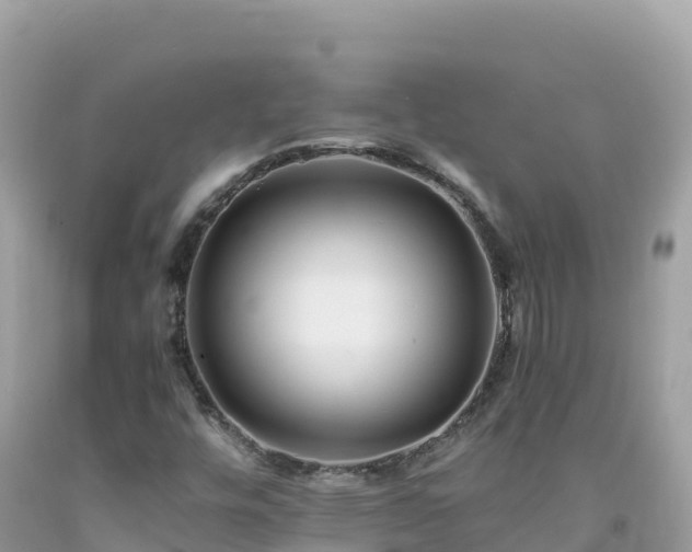 X0000092021448200709131546