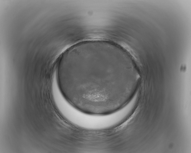 X0000092021449200709131546