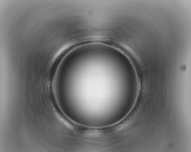 X0000092021450200709131546