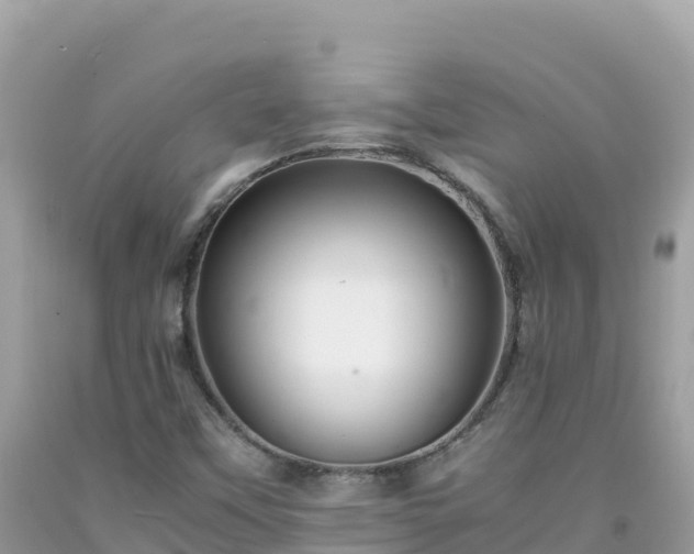 X0000092021451200709131546