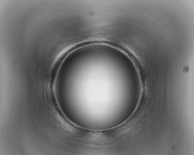 X0000092021452200709131546
